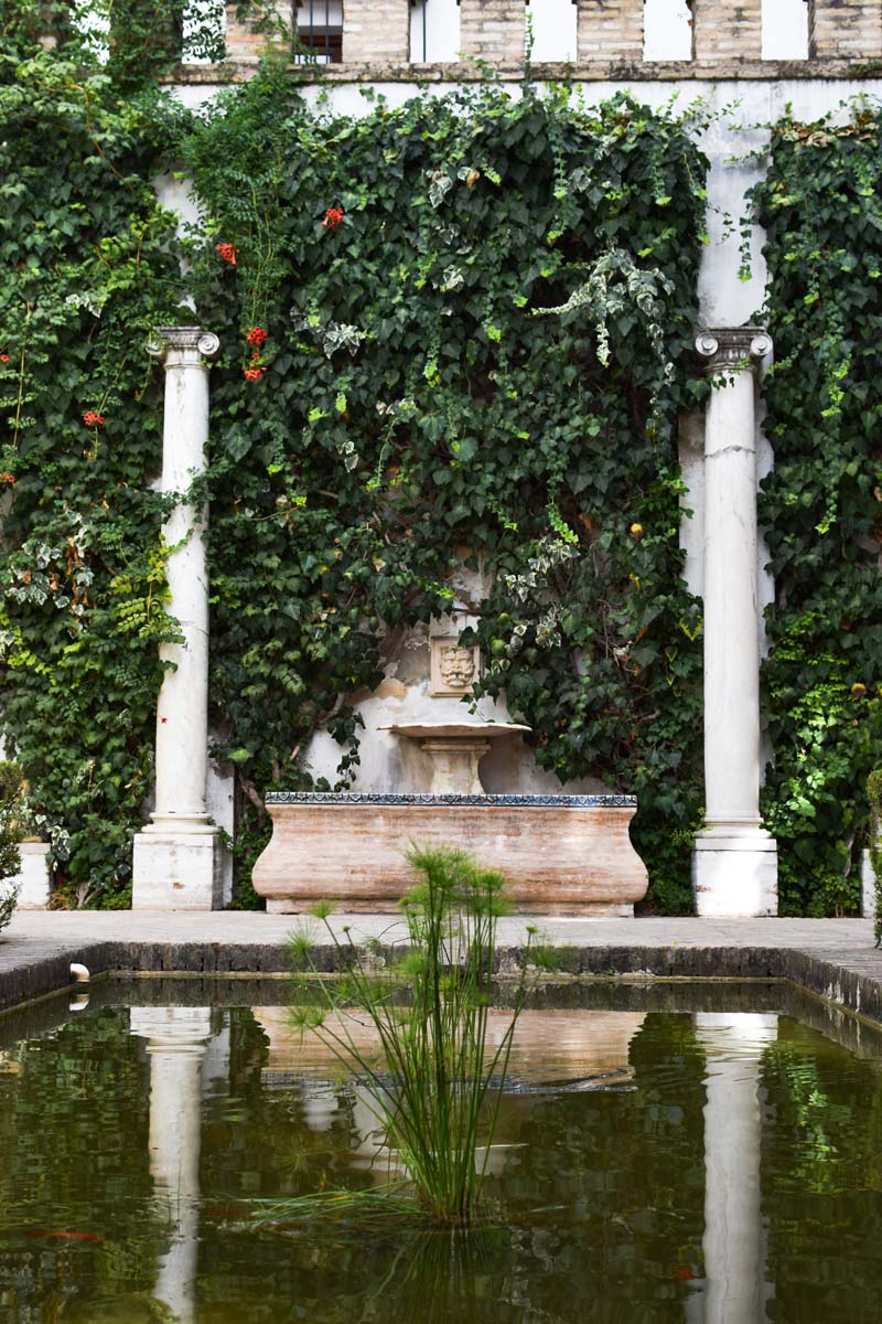 fontaine terrasse