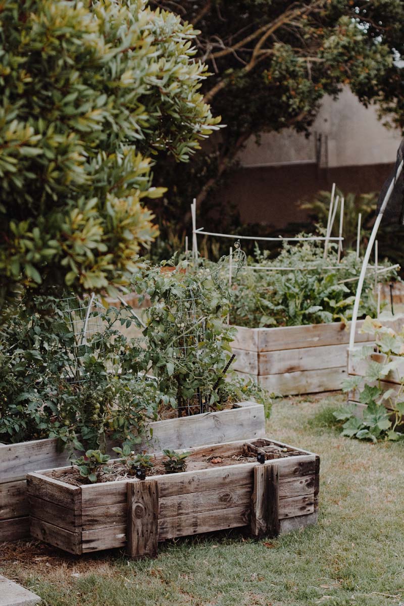 mini potager terrasse