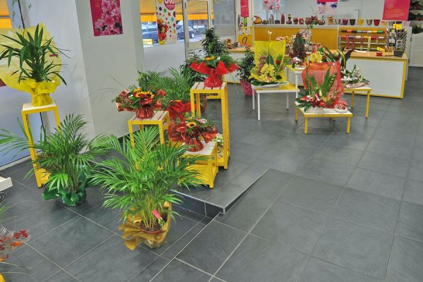 Fleuriste Rapid’Flore Fleuriste Rapid’Flore