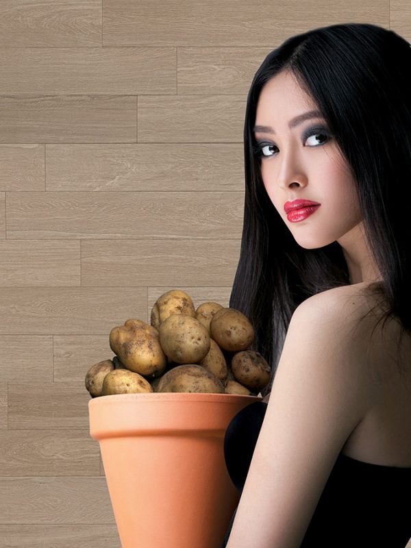 trouver un revendeur